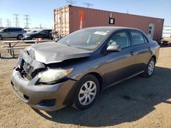 Salvage cars for sale at Elgin, IL auction: 2010 Toyota Corolla Base