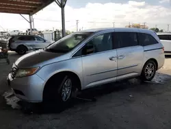 Salvage cars for sale from Copart Los Angeles, CA: 2013 Honda Odyssey EXL