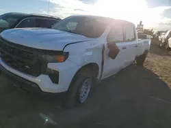 Vehiculos salvage en venta de Copart Brighton, CO: 2023 Chevrolet Silverado K1500