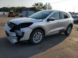 Ford Escape se salvage cars for sale: 2020 Ford Escape SE