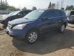 Honda salvage cars for sale: 2008 Honda CR-V EX