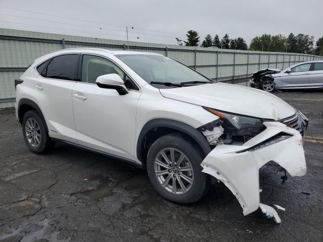 2021 Lexus NX 300H Base