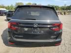 2023 Honda Odyssey SPORT-L