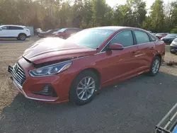 Hyundai salvage cars for sale: 2019 Hyundai Sonata SE