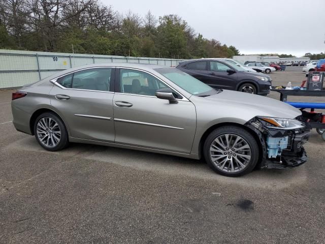 2019 Lexus ES 350