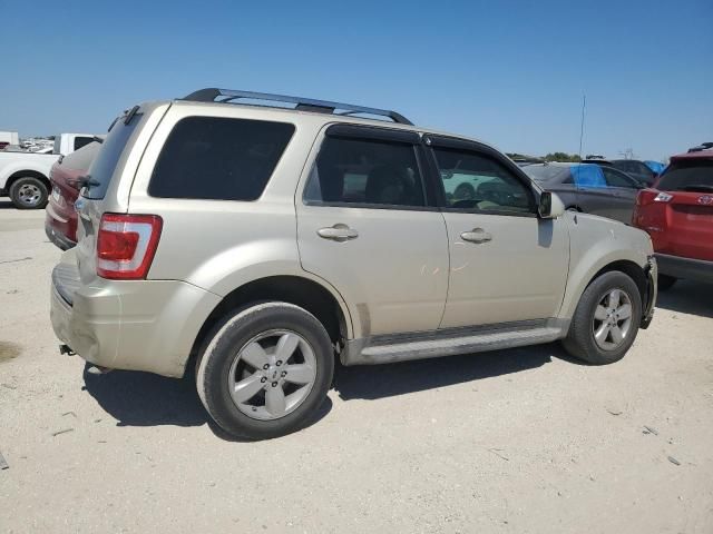 2010 Ford Escape Limited