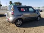 2010 KIA Soul +