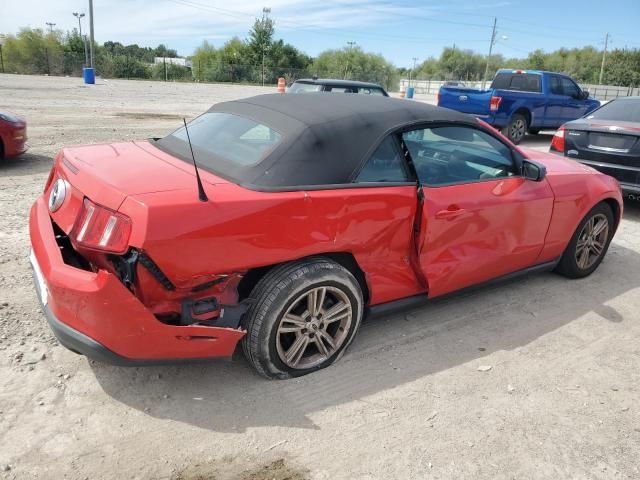 2010 Ford Mustang