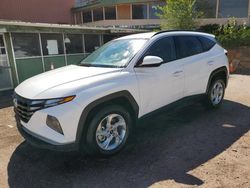 Salvage cars for sale at Colorado Springs, CO auction: 2024 Hyundai Tucson SEL