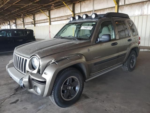 2004 Jeep Liberty Renegade