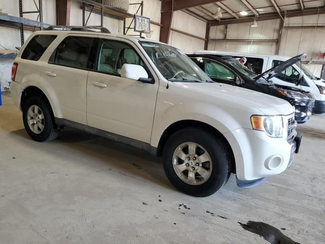 2010 Ford Escape Limited