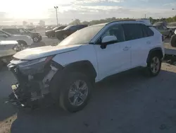 Salvage cars for sale at Indianapolis, IN auction: 2023 Toyota Rav4 XLE