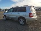 2006 Toyota Highlander Hybrid