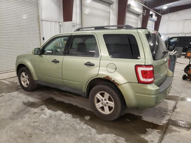 2008 Ford Escape HEV