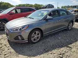 Salvage cars for sale at Windsor, NJ auction: 2019 Hyundai Sonata Limited