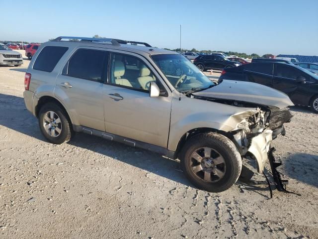 2012 Ford Escape Limited