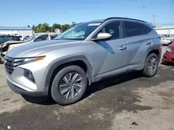 Salvage cars for sale at Pennsburg, PA auction: 2023 Hyundai Tucson Blue