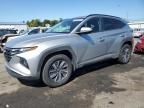 2023 Hyundai Tucson Blue