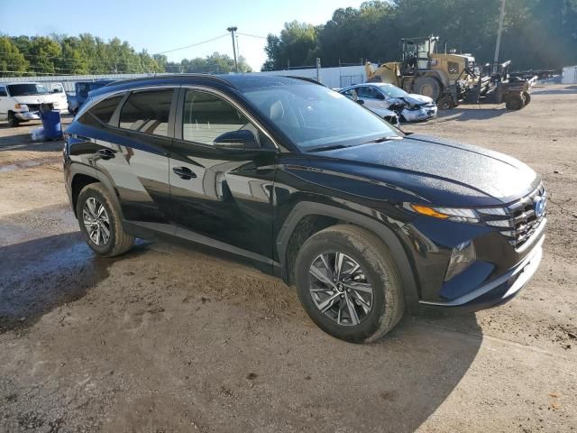 2022 Hyundai Tucson Blue