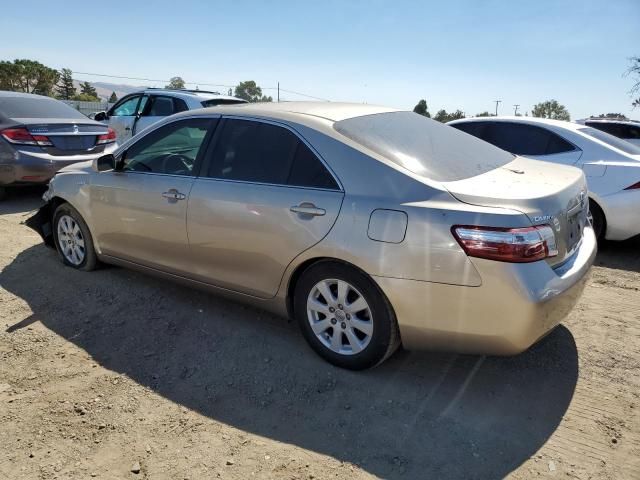 2008 Toyota Camry Hybrid