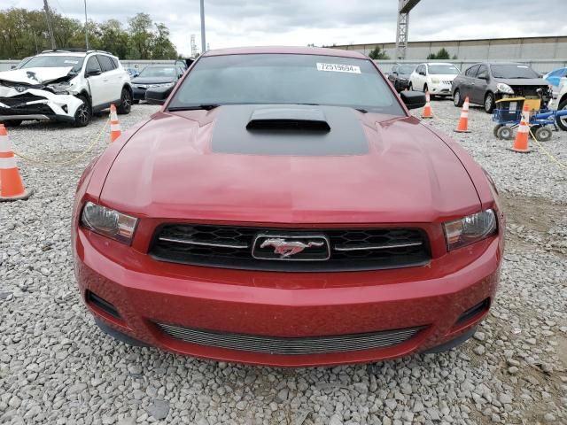 2010 Ford Mustang