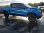 2022 Chevrolet Silverado K1500 Trail Boss Custom