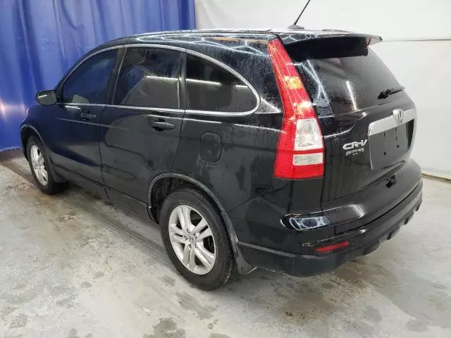 2010 Honda CR-V EXL