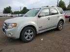 2008 Ford Escape Limited