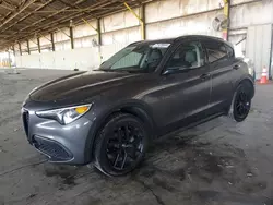 Alfa Romeo salvage cars for sale: 2021 Alfa Romeo Stelvio Sport