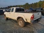 2005 Toyota Tacoma Prerunner Access Cab