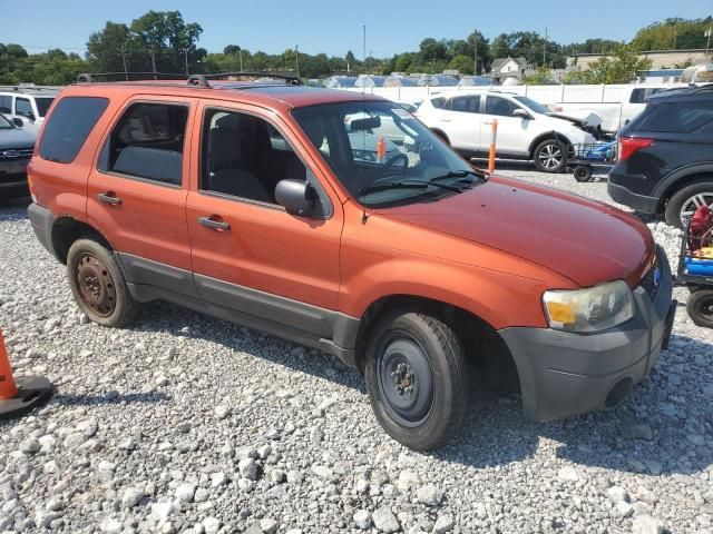 2007 Ford Escape XLT