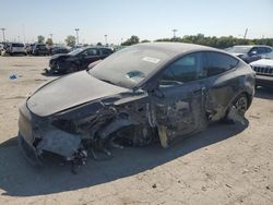 2023 Tesla Model Y en venta en Indianapolis, IN