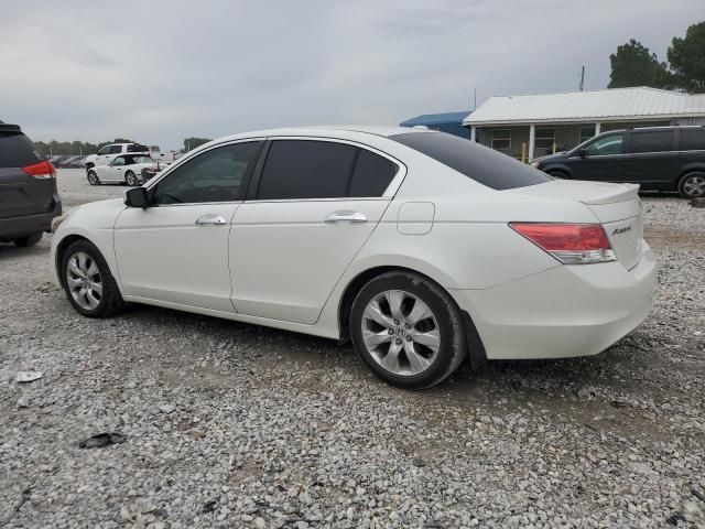 2010 Honda Accord EXL