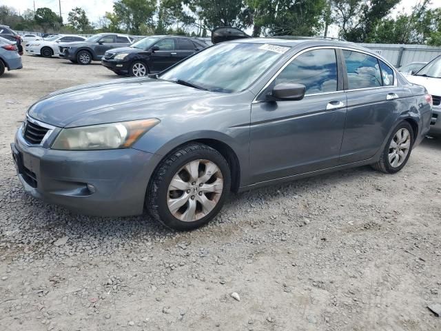 2010 Honda Accord EXL