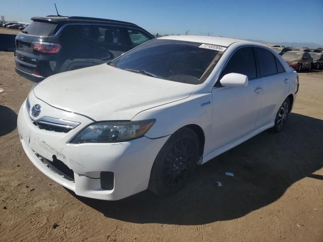 2010 Toyota Camry Hybrid