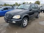 2004 Mercedes-Benz ML 350