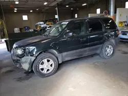 Ford salvage cars for sale: 2003 Ford Escape XLT