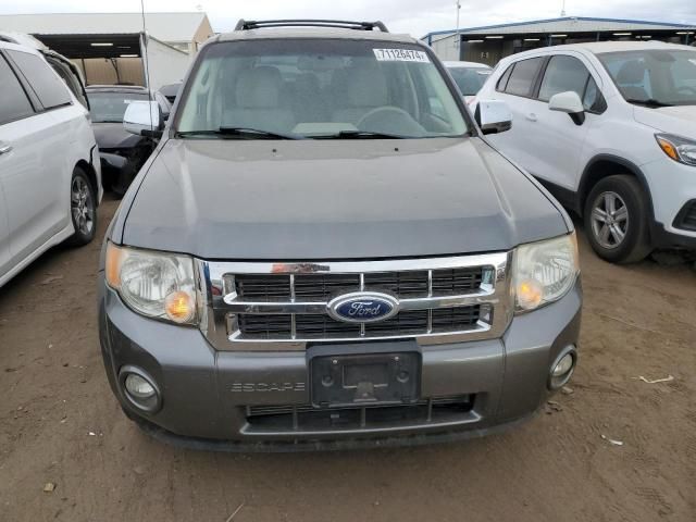 2011 Ford Escape XLT