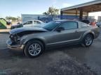 2005 Ford Mustang