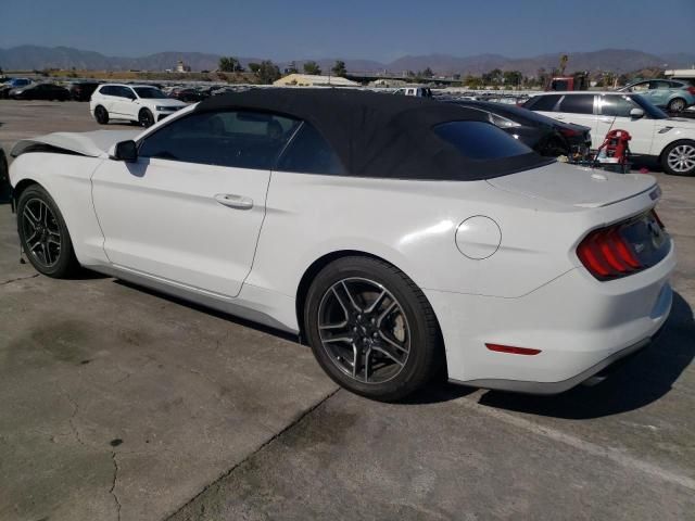 2019 Ford Mustang