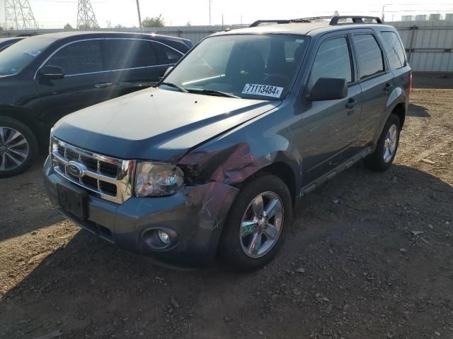 2011 Ford Escape XLT