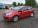 2013 KIA Rio EX