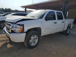 Chevrolet salvage cars for sale: 2010 Chevrolet Silverado K1500 LT