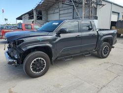 Vehiculos salvage en venta de Copart Corpus Christi, TX: 2024 Toyota Tacoma Double Cab