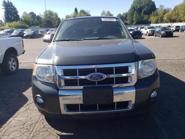 2009 Ford Escape Limited