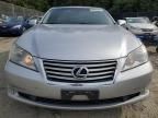 2011 Lexus ES 350