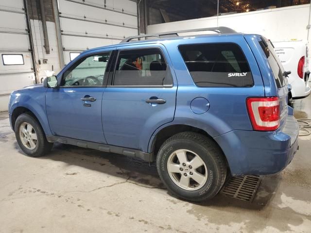 2010 Ford Escape XLT