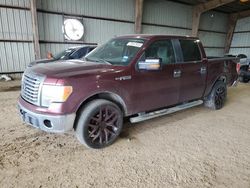 Ford salvage cars for sale: 2010 Ford F150 Supercrew