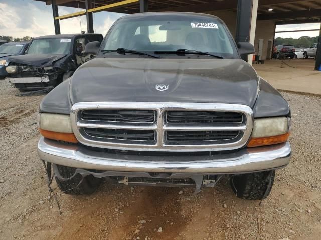 2004 Dodge Dakota SLT