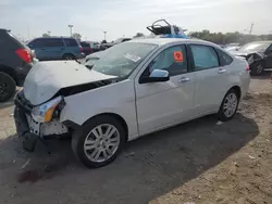 Ford Focus sel Vehiculos salvage en venta: 2010 Ford Focus SEL